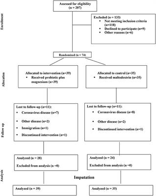 Effects of probiotic and magnesium co-supplementation on mood, cognition, intestinal barrier function and inflammation in individuals with obesity and depressed mood: A randomized, double-blind placebo-controlled clinical trial